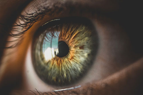Showcase your Eye Care services local Calgary area customers.